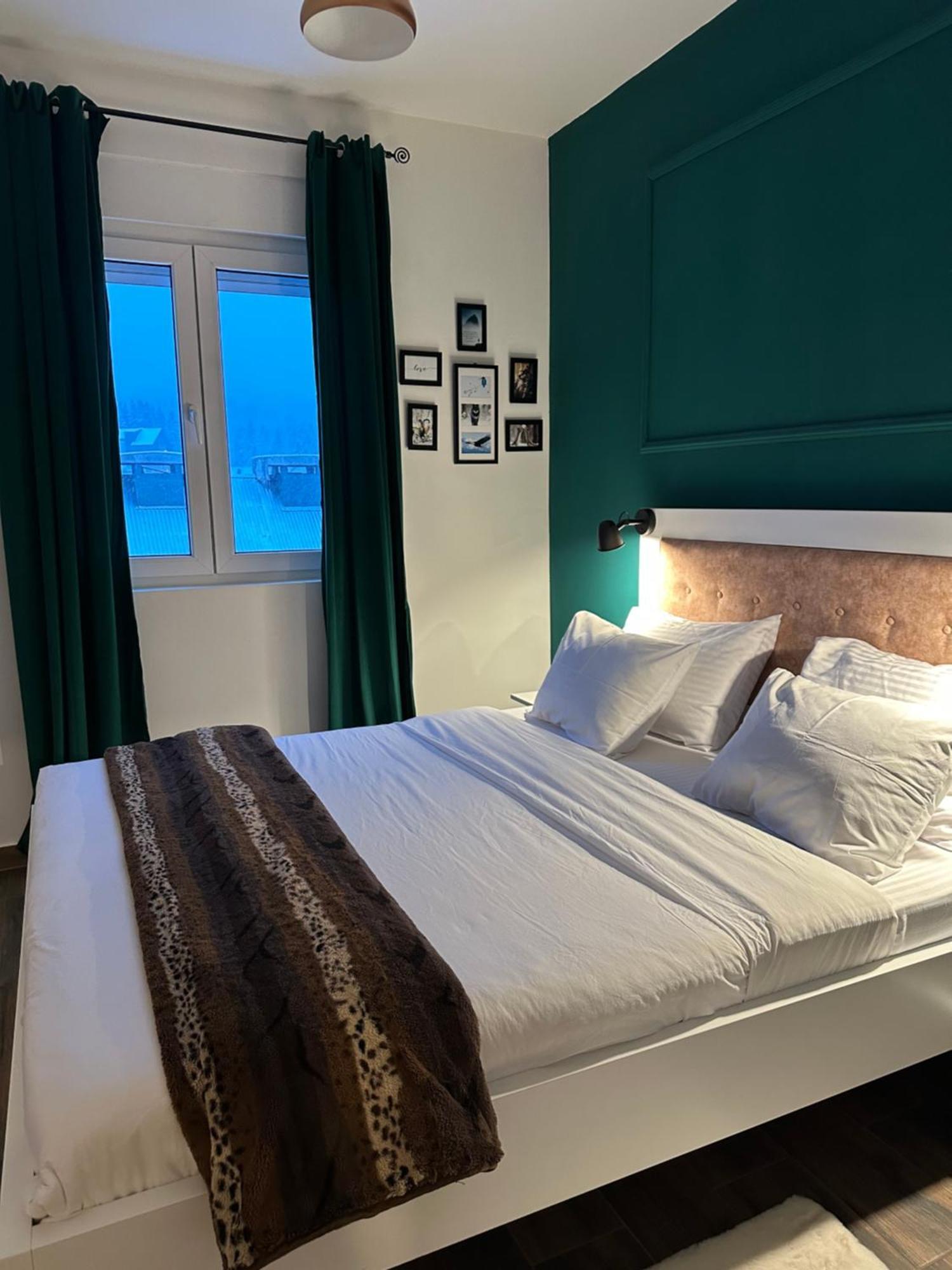 Apartman Viktorija Zabljak  Ngoại thất bức ảnh